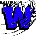 Wildcats